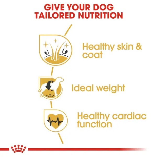 Royal Canin Cocker Adult - Суха храна за кокер шпаньоли в зряла възраст над 12 месеца